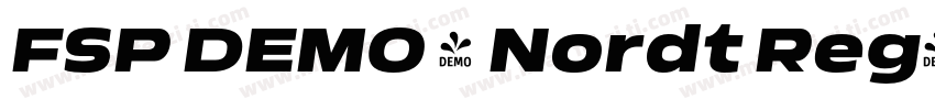 FSP DEMO - Nordt Reg字体转换